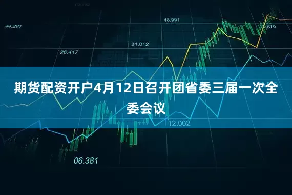 期货配资开户4月12日召开团省委三届一次全委会议