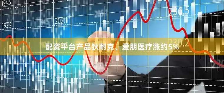 配资平台产品狄耐克、爱朋医疗涨约5%