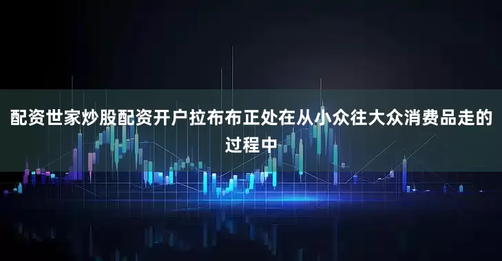 配资世家炒股配资开户拉布布正处在从小众往大众消费品走的过程中