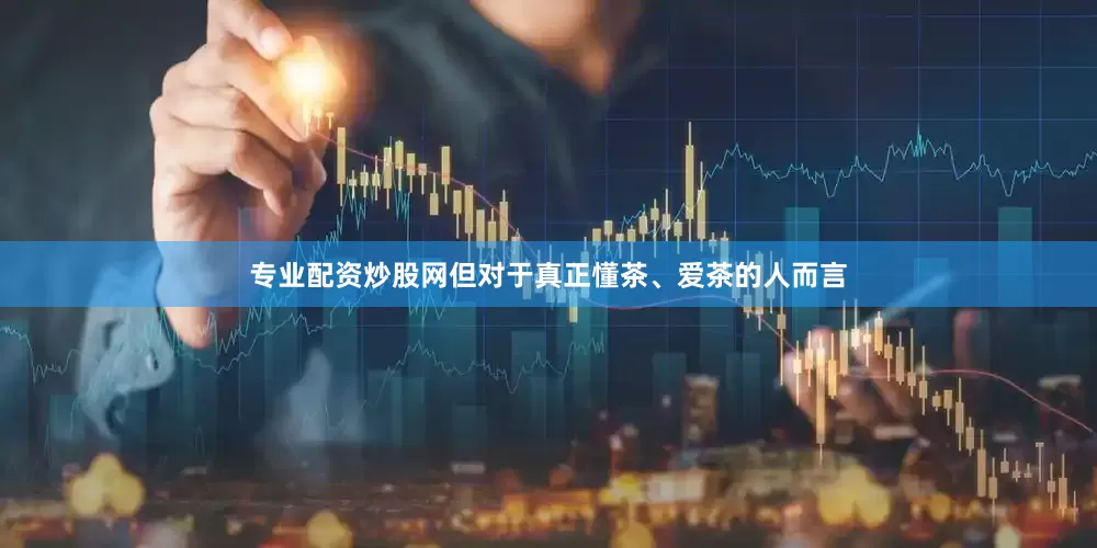 专业配资炒股网但对于真正懂茶、爱茶的人而言